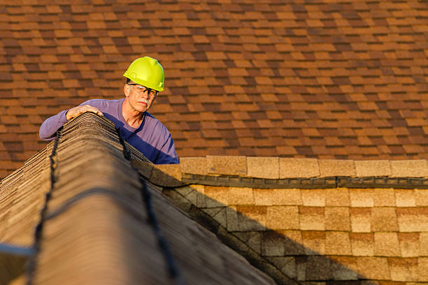 Roof Gutter Cleaning in Chesnut Hill, PA